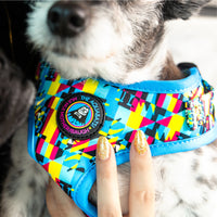 The Aquabats! x Hui Hui Mothersbaugh Pet Harness!