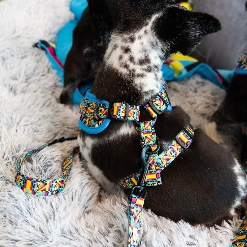 The Aquabats! x Hui Hui Mothersbaugh Pet Leash!