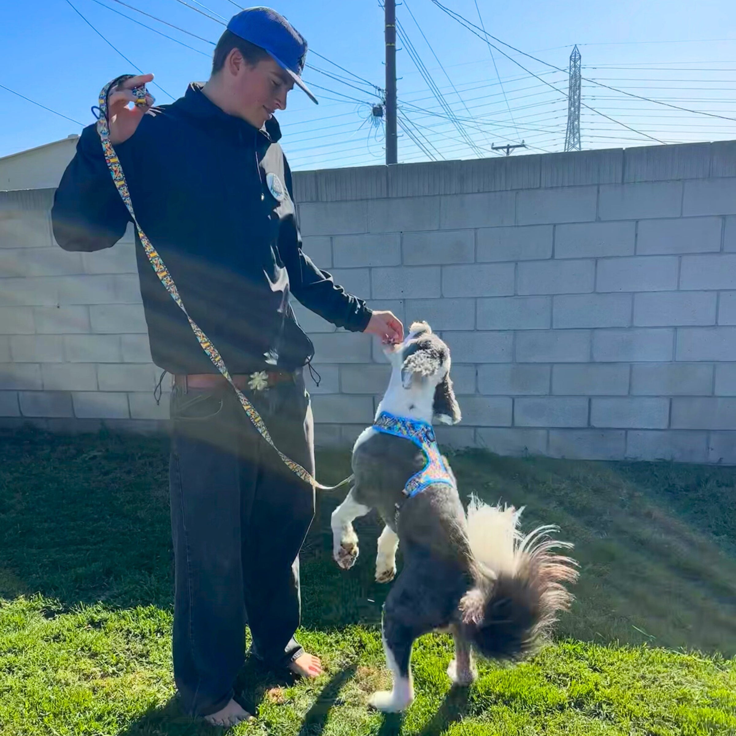 The Aquabats! x Hui Hui Mothersbaugh Pet Leash!