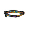 The Aquabats! x Hui Hui Mothersbaugh Pet Collar!