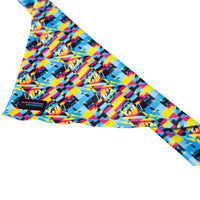 The Aquabats! x Hui Hui Mothersbaugh Bandana!