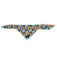 The Aquabats! x Hui Hui Mothersbaugh Bandana!